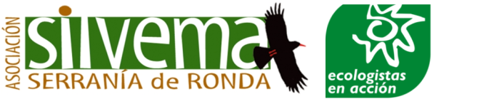Logo Silvema